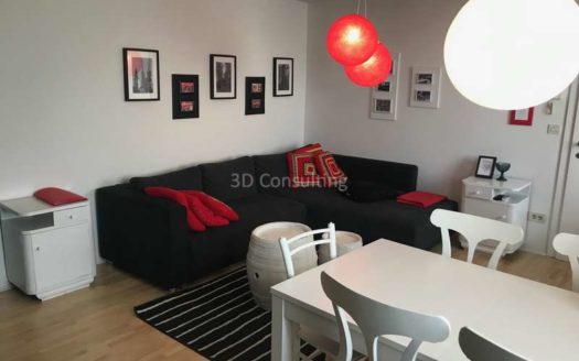 Stan za najam – Centar grada, Vlaška